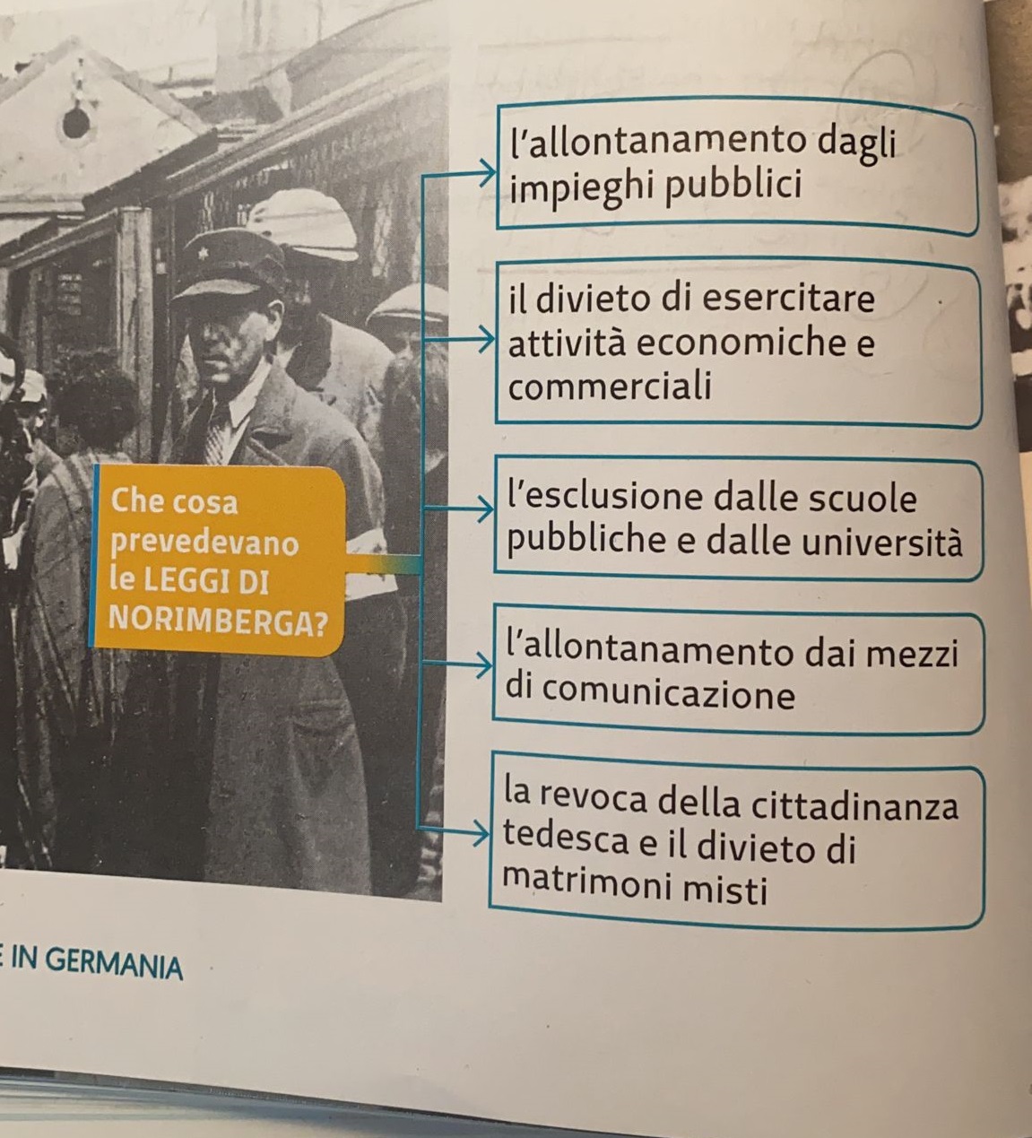 KIT VITI+DADI GABBIA M6 CON RONDELLA NYLON (Conf.50+50+50 pz.)